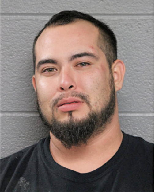 FELIPE A MARTINEZ, Cook County, Illinois