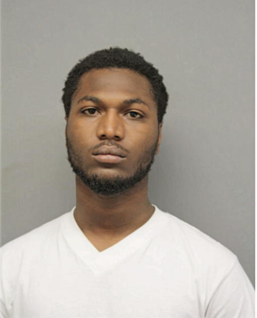 ROBERT J MILLER, Cook County, Illinois