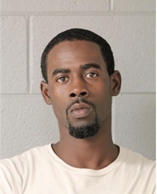 BRANDON D PALMER, Cook County, Illinois