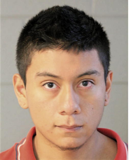 JOSE J REYES-GARCIA, Cook County, Illinois