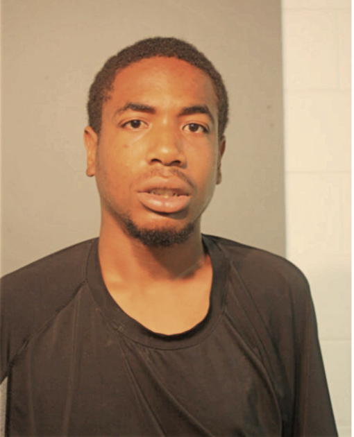 DAMIEN S RICHARDSON, Cook County, Illinois