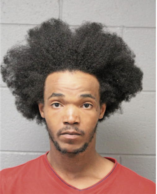 VINCENT RIDDLE, Cook County, Illinois