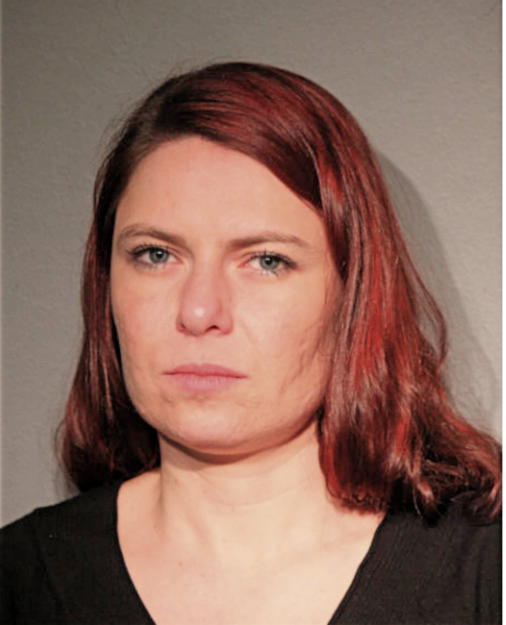 ROMANA SOKOL, Cook County, Illinois