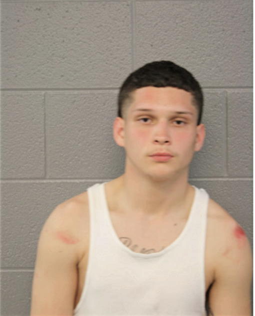 VICTOR J VISINAIZ, Cook County, Illinois