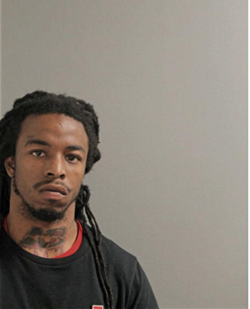LANELL T WHITE, Cook County, Illinois