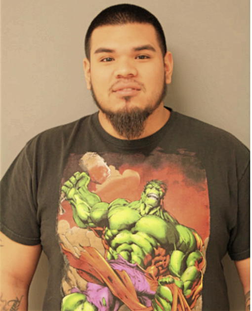 ANTHONY BIJARRO, Cook County, Illinois
