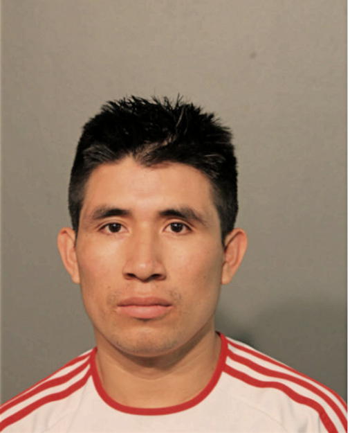 JOSE SISLEMA DAQUILEMA, Cook County, Illinois