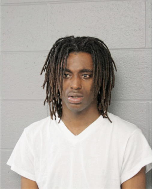 NATHAN EMERSON, Cook County, Illinois