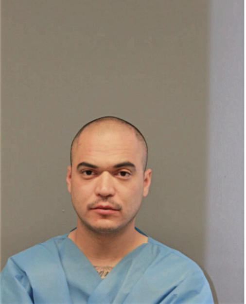 DANIEL FERRER, Cook County, Illinois