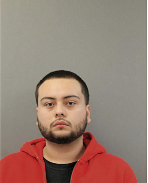 GIOVANNI FLORES, Cook County, Illinois