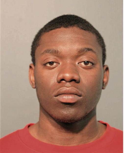 TERRANCE T FREEMAN, Cook County, Illinois