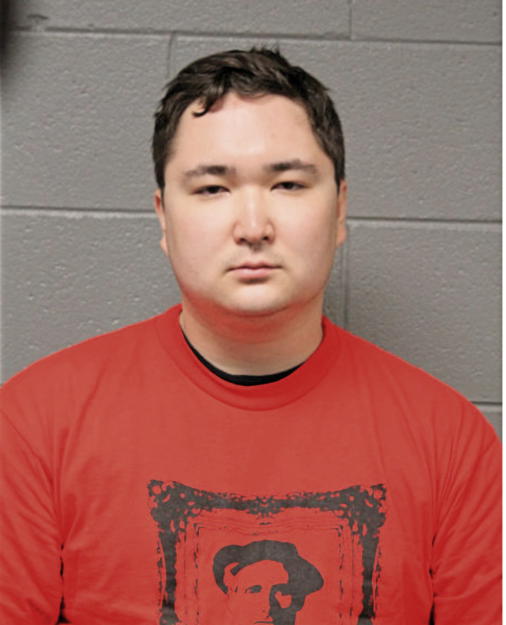 ANDREW T LIM, Cook County, Illinois