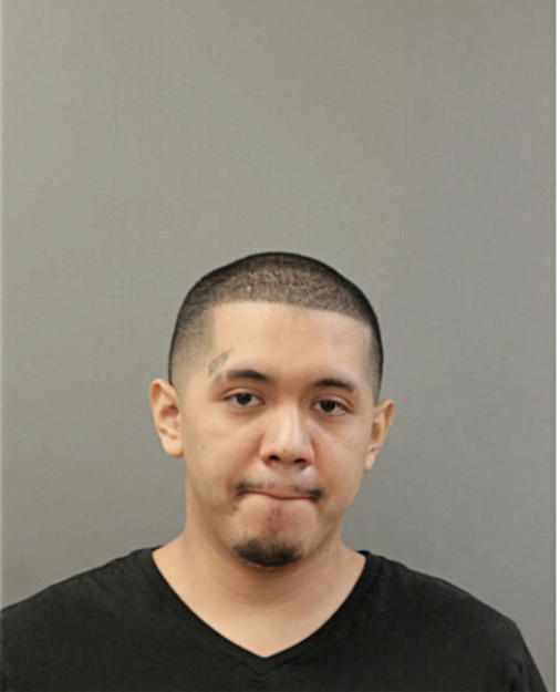 MICHAEL A MARTINEZ, Cook County, Illinois