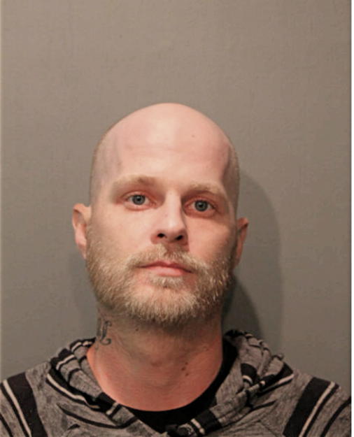 STEVEN LYNN MEADOWS, Cook County, Illinois