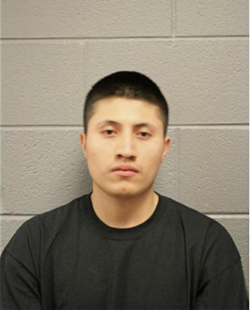 RUPERTO MENDOZA, Cook County, Illinois