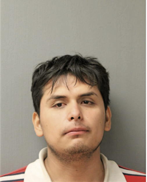 DIEGO I OCAMPO, Cook County, Illinois