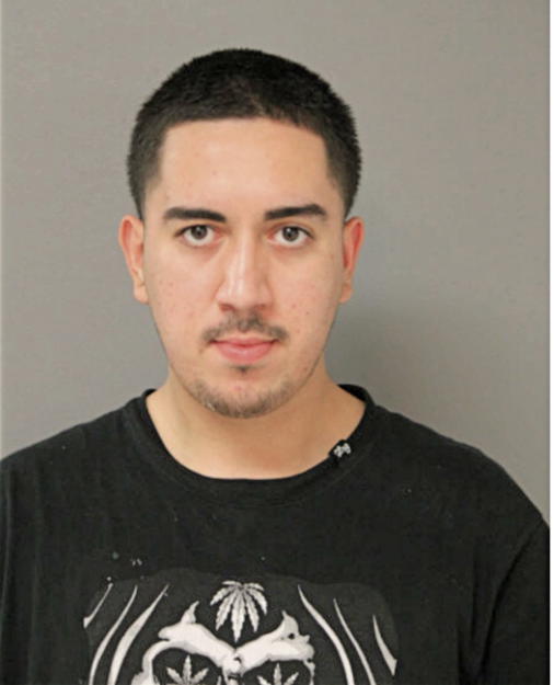 FERNANDO PATINO, Cook County, Illinois