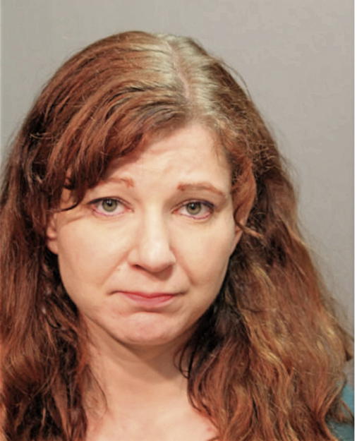 LISA J RAFFERTY, Cook County, Illinois