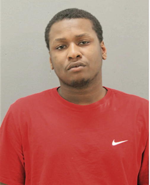 TYRONE L RHODES, Cook County, Illinois