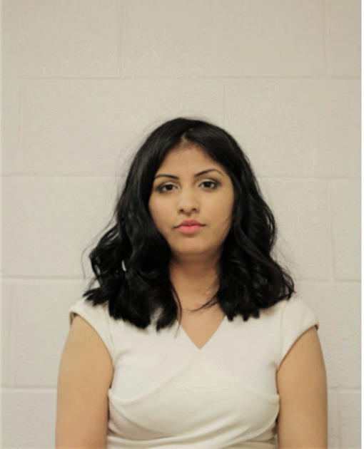 ANA RIVERA, Cook County, Illinois