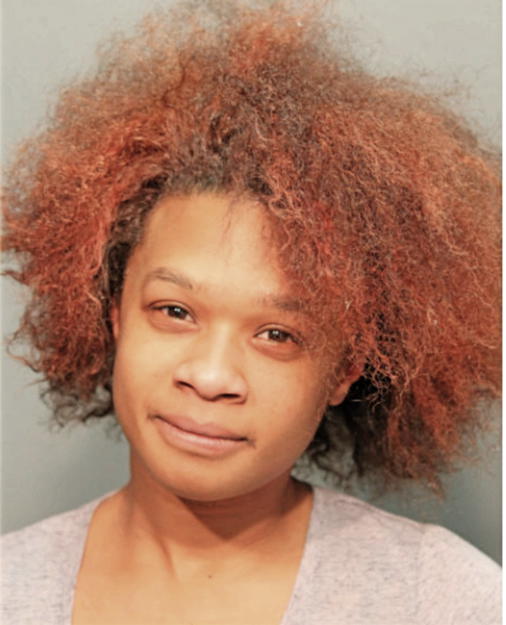 JANNAH H SALEEM, Cook County, Illinois