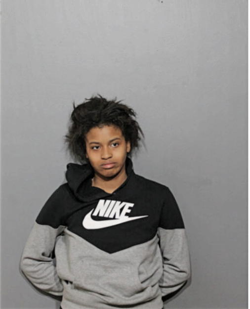 JAMIE L SALTER, Cook County, Illinois