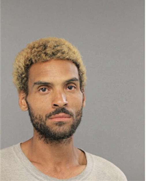 LUIS A SANTIAGO, Cook County, Illinois