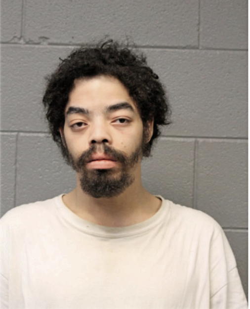 RUDY M THOMPSON, Cook County, Illinois