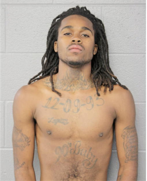 DARRELL J TOWNES, Cook County, Illinois