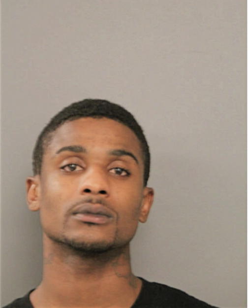 TERRELL J WASHINGTON, Cook County, Illinois