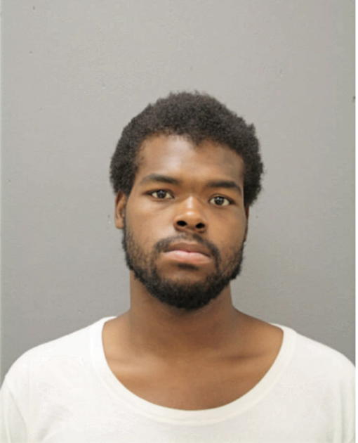 TONY C WEBB, Cook County, Illinois