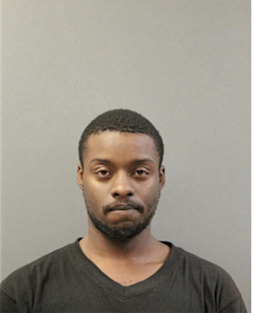 ANTHONY K ADAMS, Cook County, Illinois
