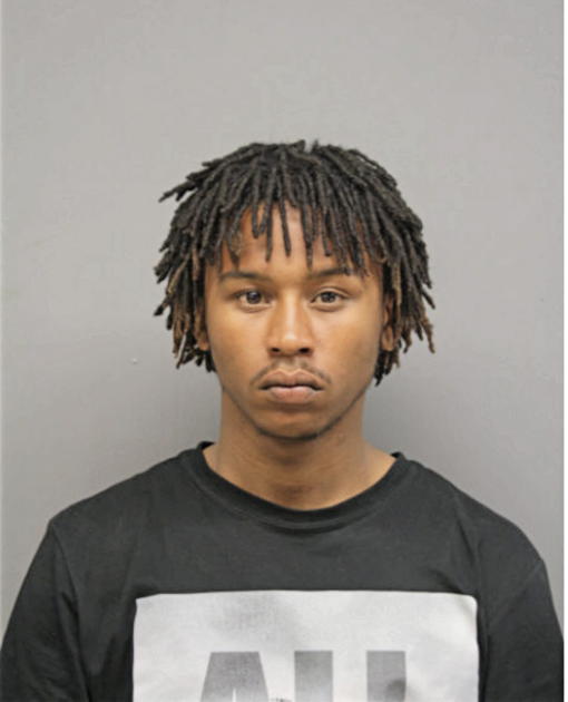 TYRELL T BISMILLAH, Cook County, Illinois