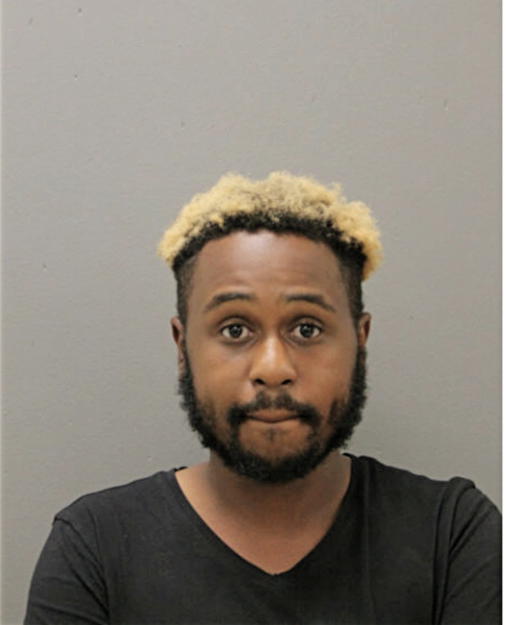 NICHOLAS P BOUYER, Cook County, Illinois