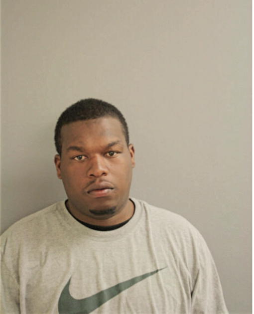 TERRANCE BRIDGES, Cook County, Illinois