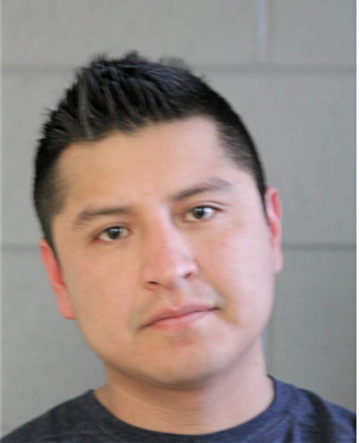 EMILIANO CASTILLO, Cook County, Illinois