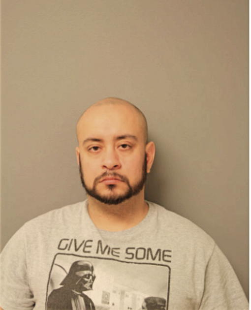 JESUS M GARZA, Cook County, Illinois