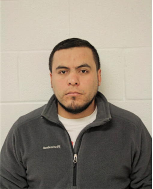 ALEJANDRO GONZALEZ-ALVAREZ, Cook County, Illinois