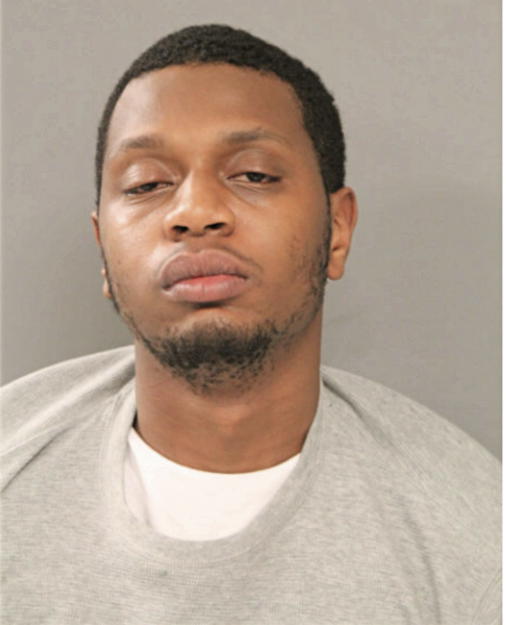 CHRISTOPHER A HAMILTON, Cook County, Illinois