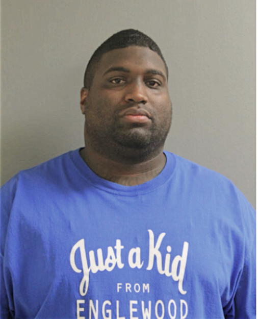 DAVID A HAYES, Cook County, Illinois