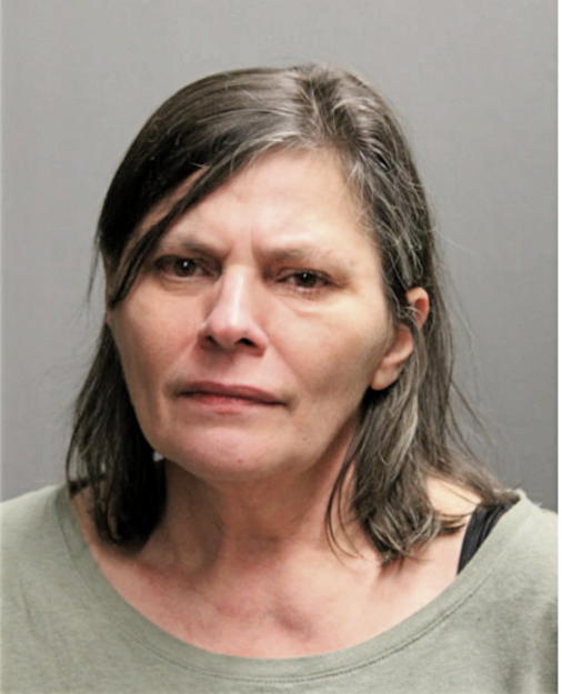 ELFRIEDE H HOPFER, Cook County, Illinois