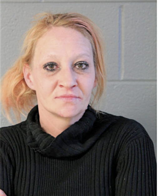 AMY D LONG, Cook County, Illinois