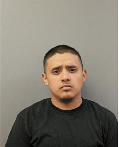 DIEGO-NICOLAS MARQUINA-ADAN, Cook County, Illinois