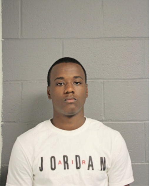 LARRY D MATTHEWS, Cook County, Illinois