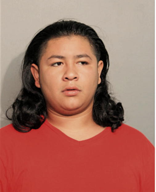 JUAN G MORALES, Cook County, Illinois