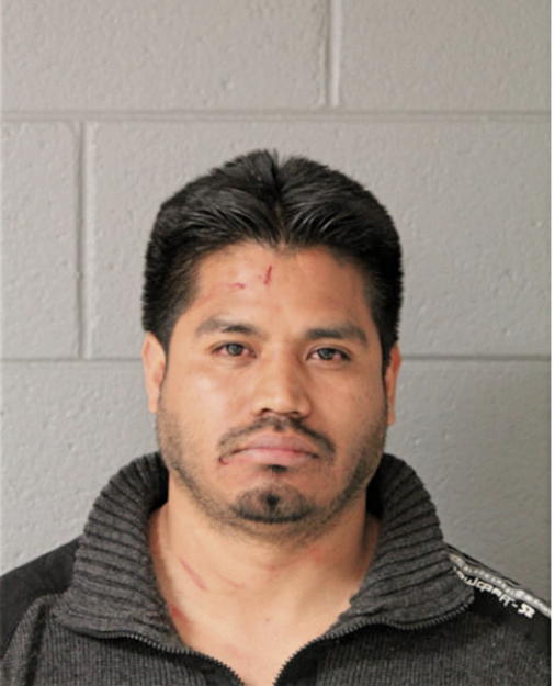 JORGE LUIS NEGRETE, Cook County, Illinois