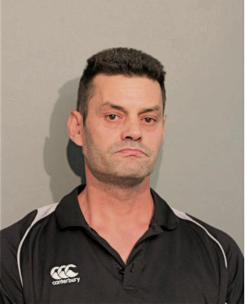 SASA NIKOLIC, Cook County, Illinois