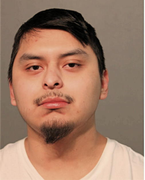 ARMANDO J OLALDE, Cook County, Illinois
