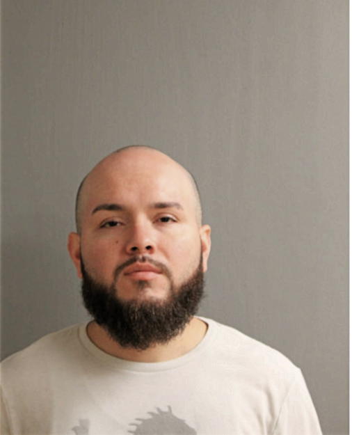 OMAR REYES, Cook County, Illinois