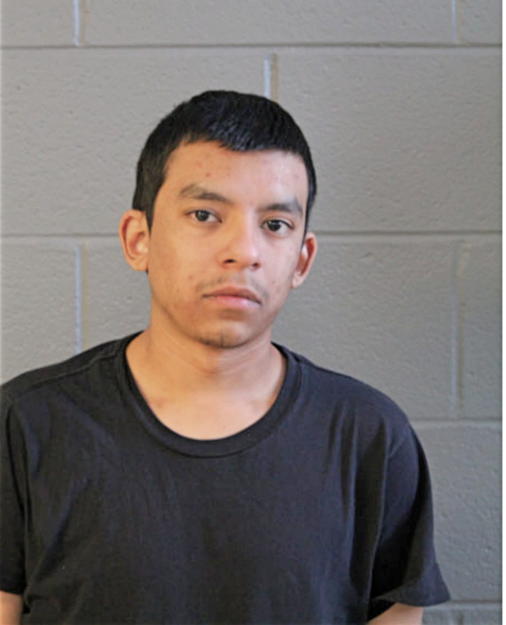 CARLOS ROSAS, Cook County, Illinois